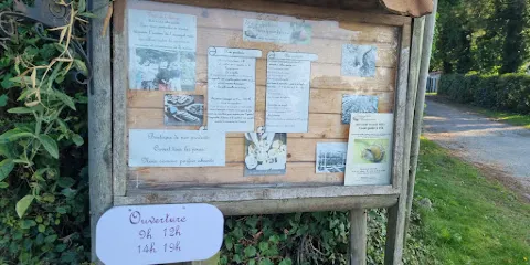 Escargotière du Marquenterre