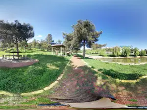Ormanlık