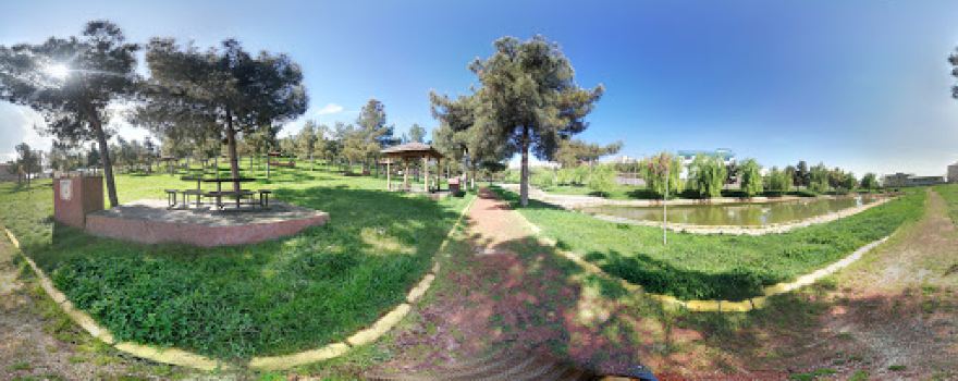Ormanlık