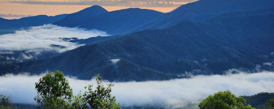 Heales Lookout