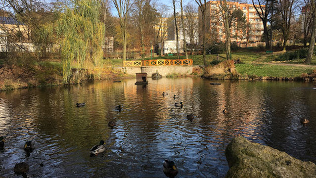 Lesopark Vratislavice nad Nisou