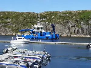 Hitra