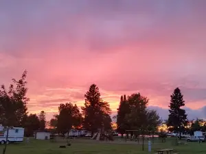 Forest County Vets Park