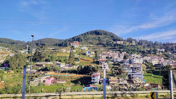 Wax Museum & Chocolate Market