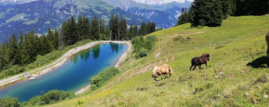 Bergsee Älpli (Speichersee)