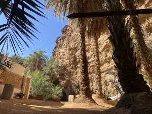 Terjit Oasis