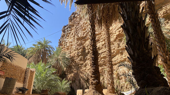 Terjit Oasis