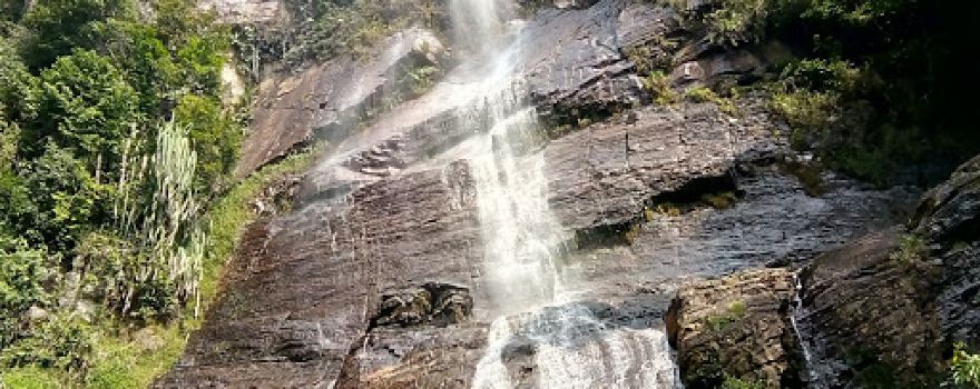Tupah Recreational Forest