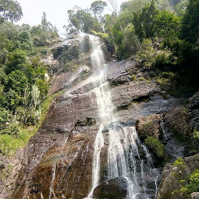 Tupah Recreational Forest