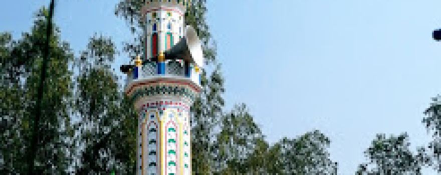 Kauriyawan