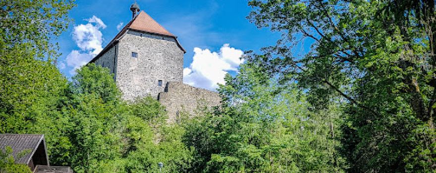 Burg Stein