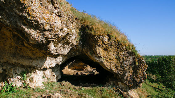 Duruitoarea