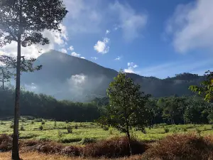 Wat Na Khao Men