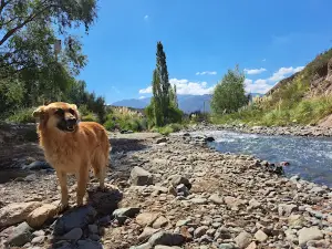 Camping El Montañés