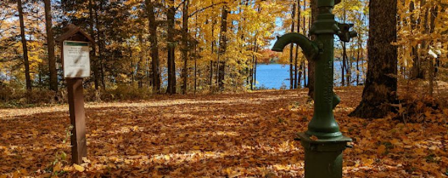 Pomeroy Lake Campground