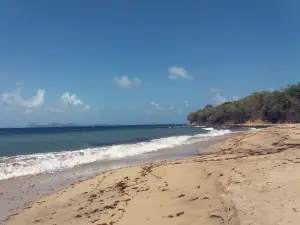Ratton Beach