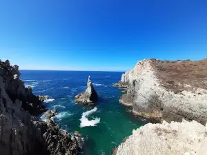 Dedo De Dios