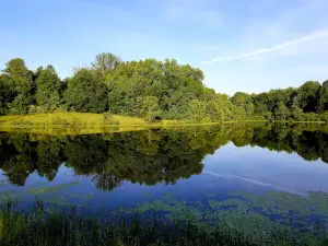 Amelia Wildlife Management Area