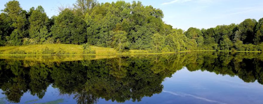 Amelia Wildlife Management Area