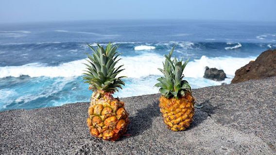 Charco de Los Sargos