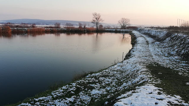 Hanul Pescarilor Garofița