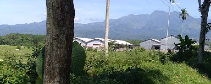 Lapangan Wonosuko