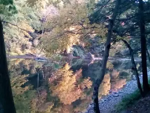 Lazybrook Park