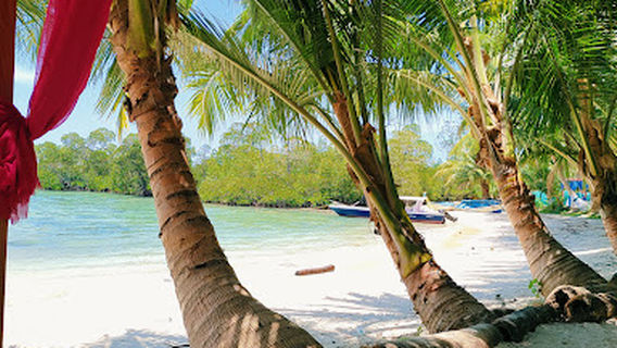 Havelock Island