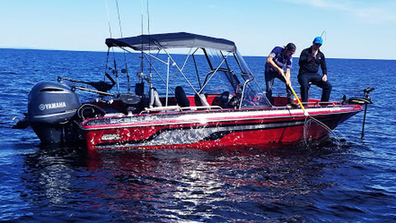 Aventure Lac Saint-Jean - Pêche, Croisière et Ours noir