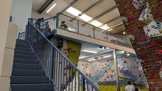 Blue Spider Climbing