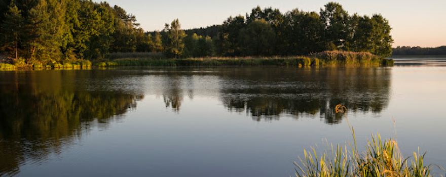 BIWAK Wilcza Wola