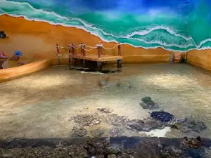 Aquarium Indonesia Pangandaran