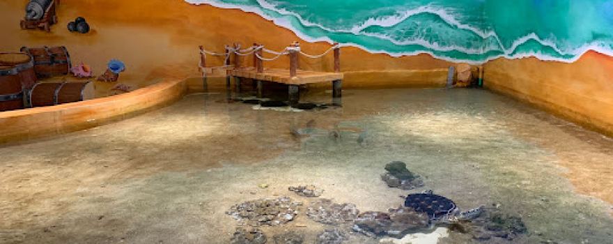 Aquarium Indonesia Pangandaran