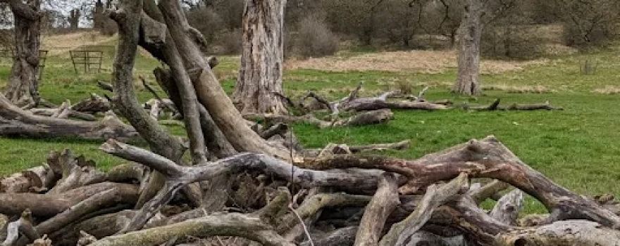 Hardwick Park (Ponds)