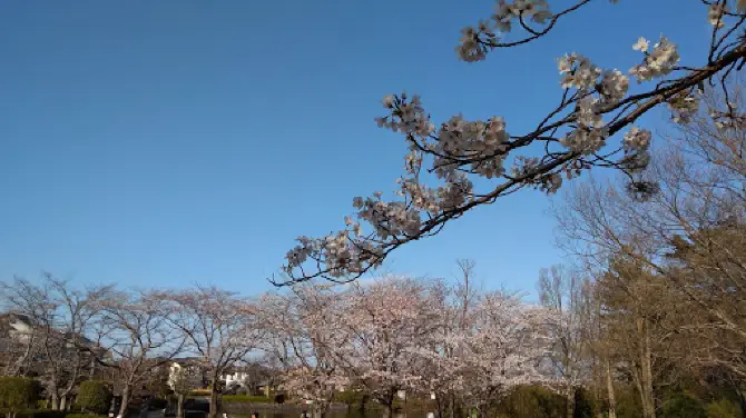 Matsukaze Park