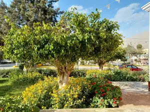 Plaza Acari Tradicional