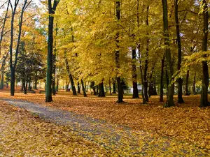 Park Piastowski