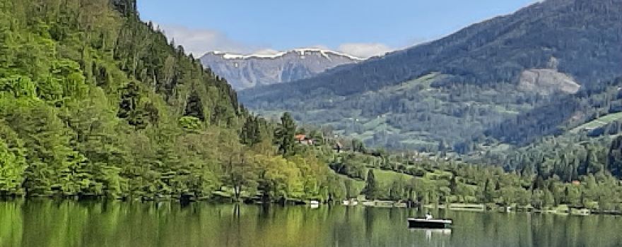 Brennsee