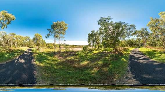 Mon Repos Walking Track