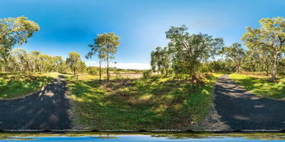 Mon Repos Walking Track