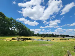 Schellin Park
