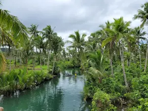 Maasin Bridge River Swing