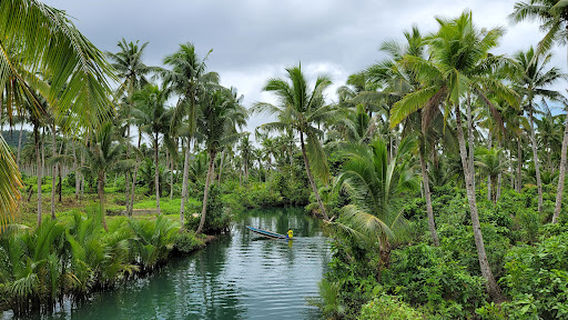 Maasin Bridge River Swing