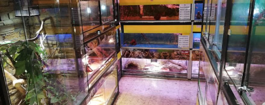 Zoofachmarkt Gräber