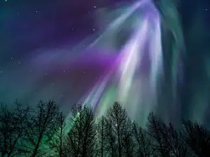 Aurora Dora