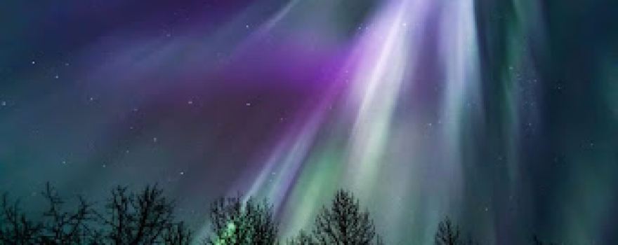 Aurora Dora