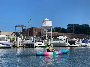 Harbor Country Adventures