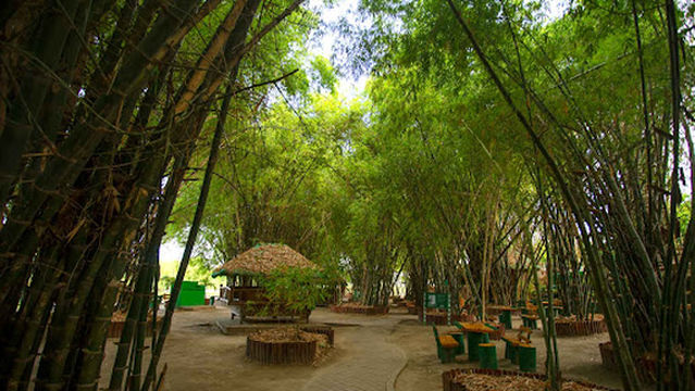 Lubao Bamboo Hub & Eco-Park