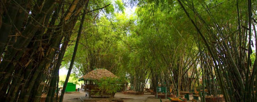 Lubao Bamboo Hub & Eco-Park