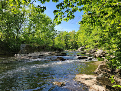 Papermill Trail / Miller Park